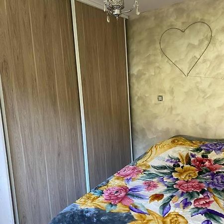 Charmant Appartement Entre Lacs Et Montagnes ! Culoz Екстер'єр фото